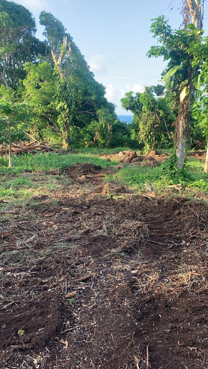 Big Corn Island property