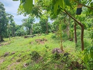 Big Corn property land